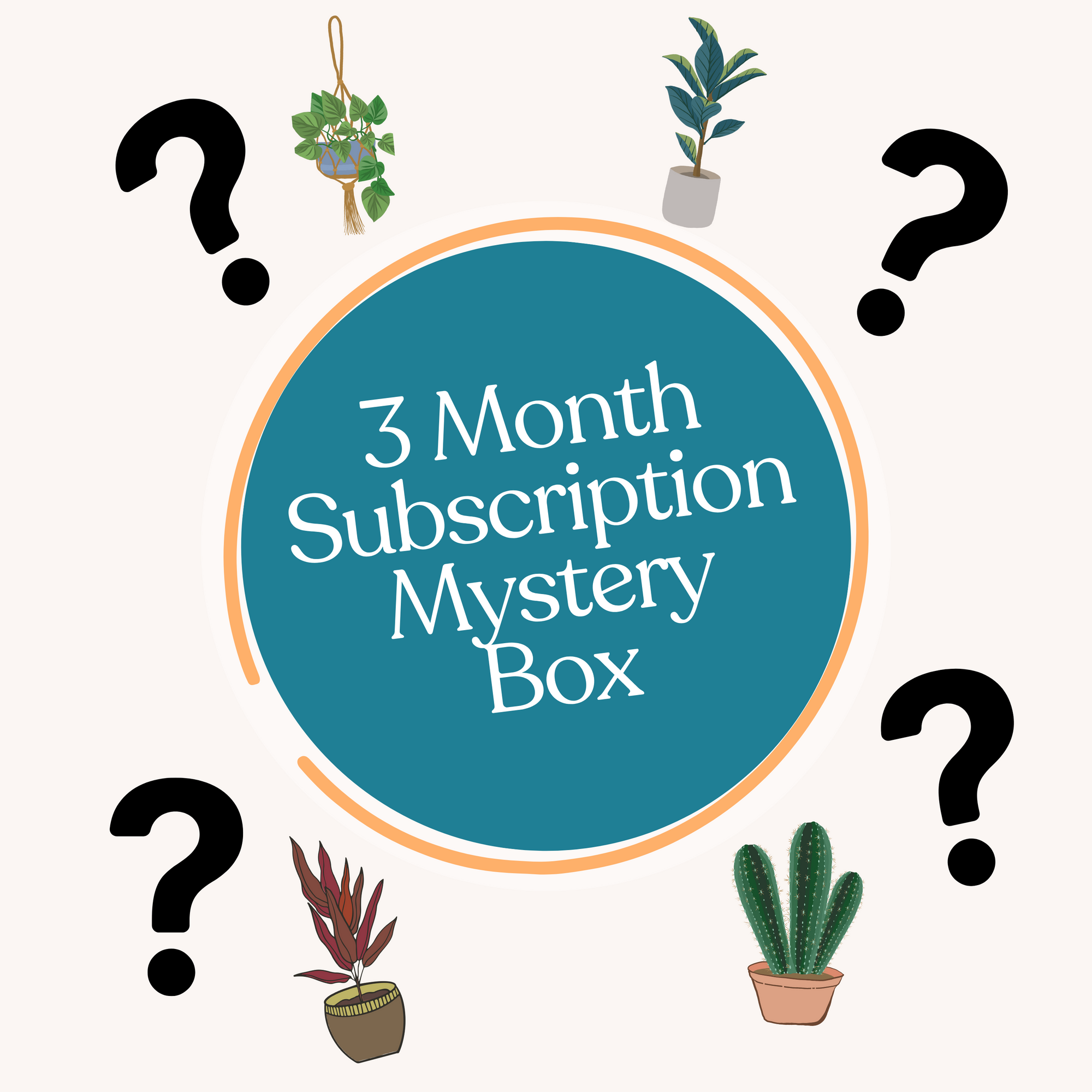 Monthly Mystery Plant Box Monthly Subscription (3 Months)