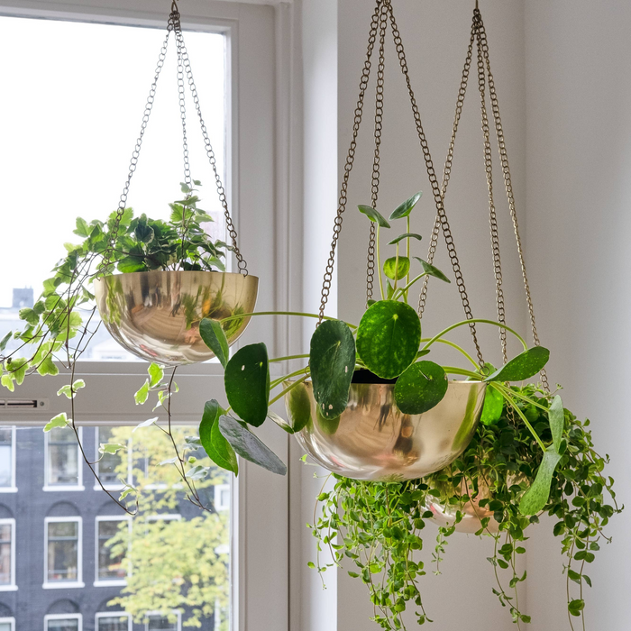 Treo, Gold Hanging Planters, Set of 3