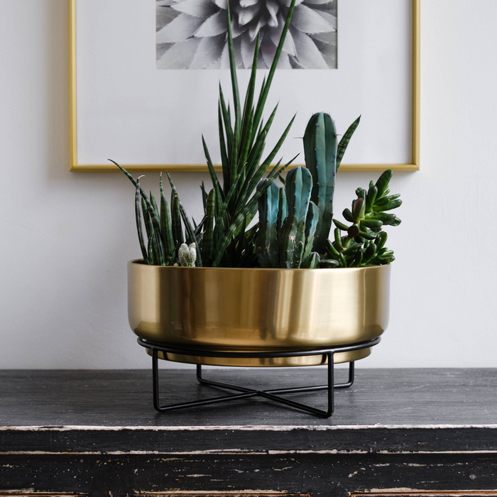 Henri, Succulent Planter With Stand