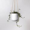 Steen Hanging Planter Pot | White Stone | 4"