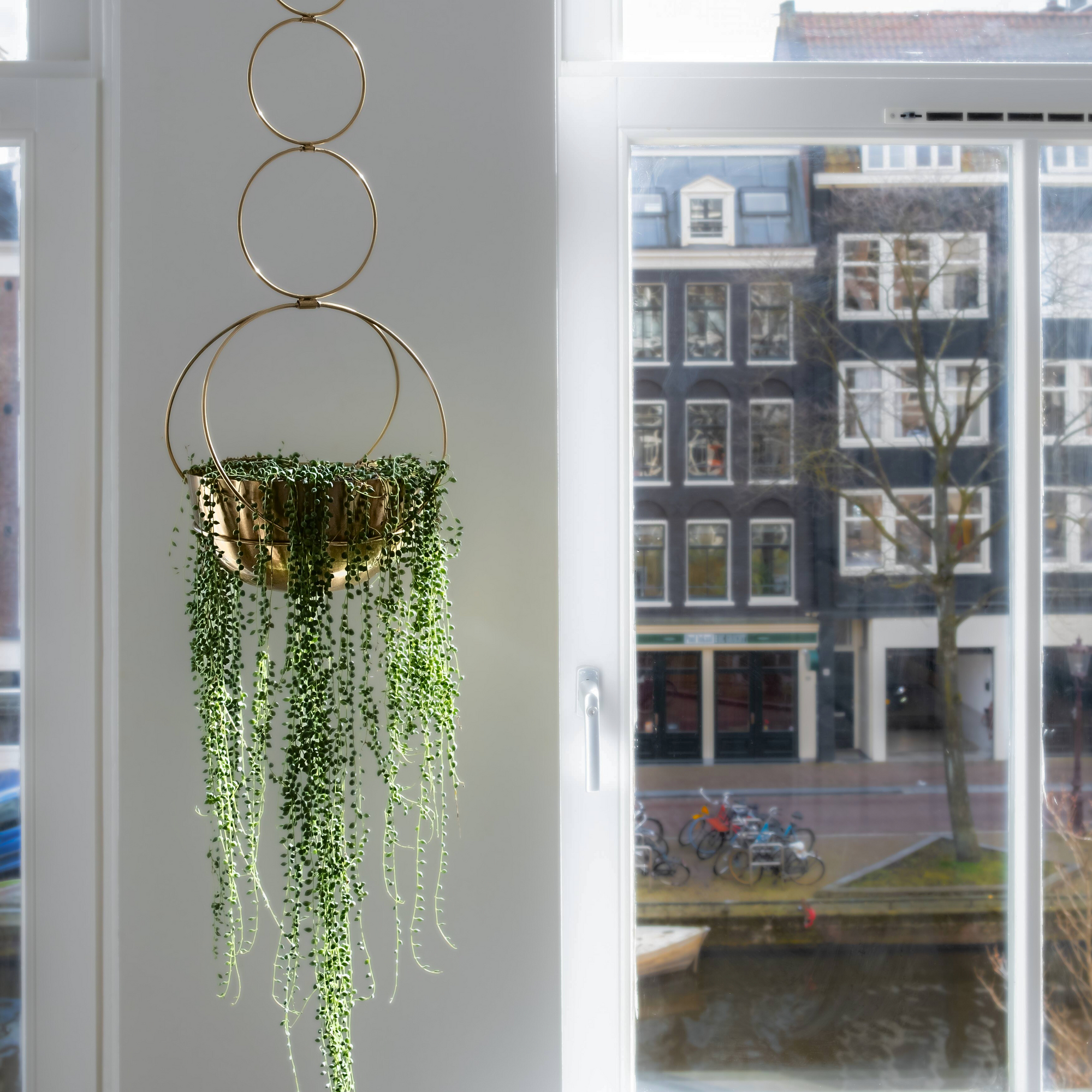 Oro, Gold Circle Hanging Planter